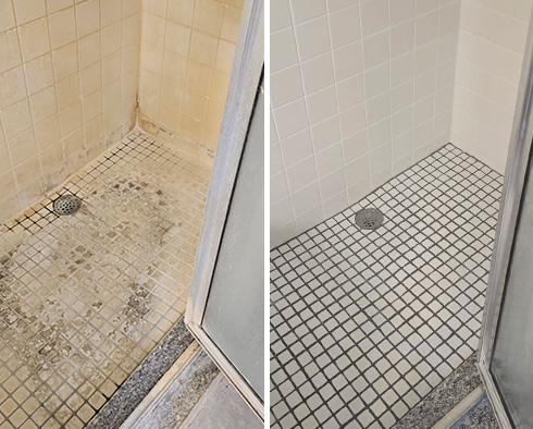 Shower Before and After a Tile Cleaning in Tampa, FL