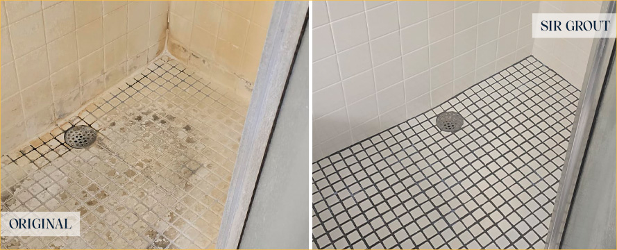 Shower Before and After a Flawless Tile Cleaning in Tampa, FL