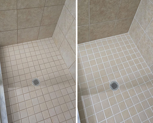 Shower Before and After a Grout Recoloring in Tampa, FL