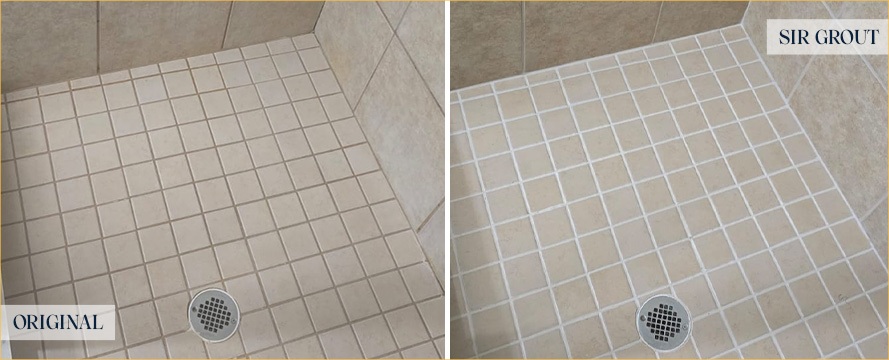 Shower Before and After a Flawless Grout Recoloring in Tampa, FL