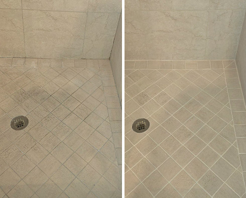 Shower Before and After a Grout Recoloring in Tampa, FL