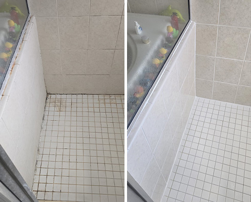 Shower Before and After a Tile Cleaning in Tampa, FL