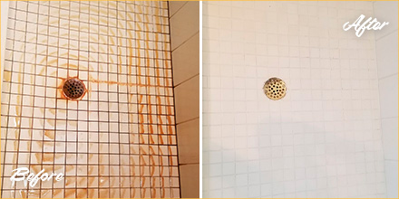 https://www.sirgrouttampa.com/pictures/pages/46/shower-tile-cleaning-in-valrico-fl-480.jpg