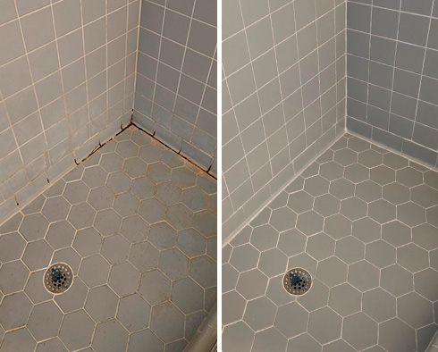 Shower Floor and Walls Before and After a Tile Cleaning in Wesley Chapel