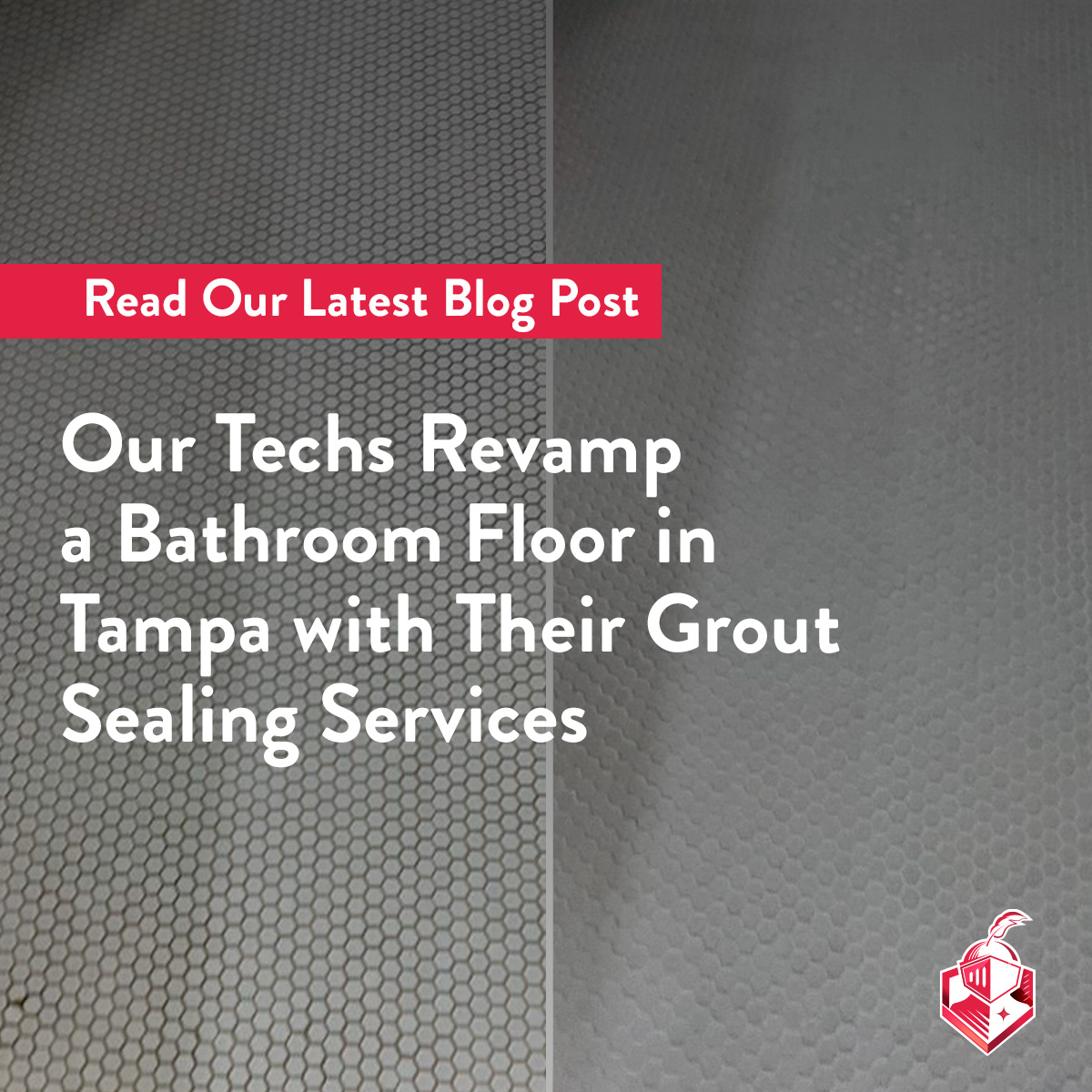 Our Techs Revamp a Bathroom Floor in Tampa with Their Grout Sealing Services