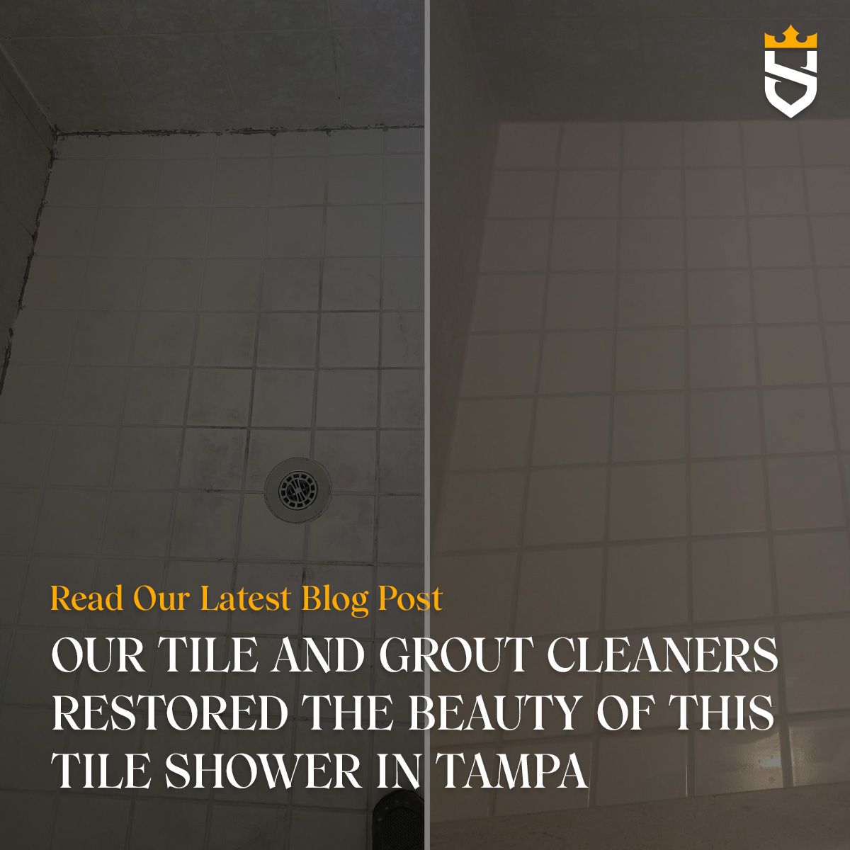 Our Tile and Grout Cleaners Restored the Beauty of This Tile Shower in Tampa