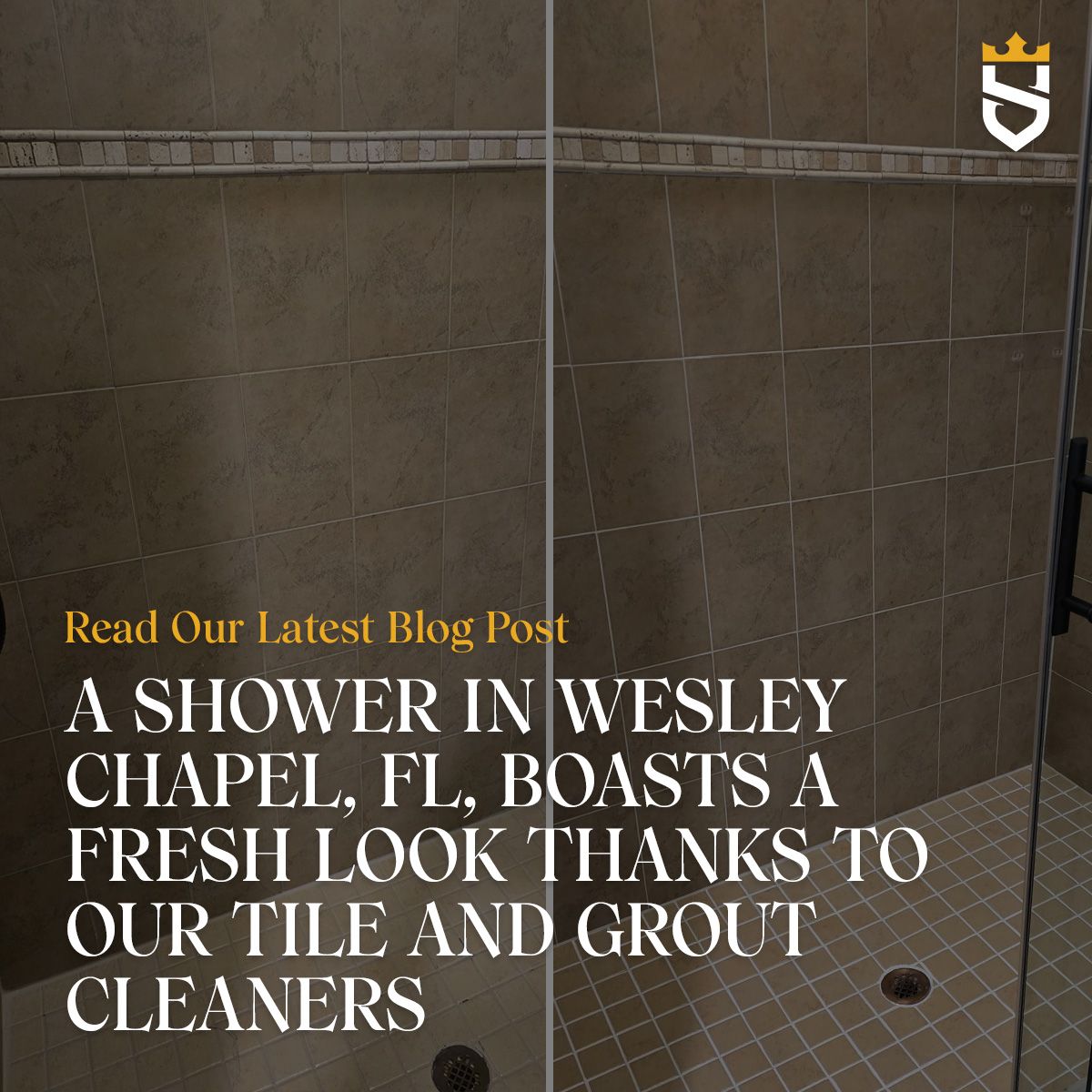 A Shower in Wesley Chapel, FL, Boasts a Fresh Look Thanks to Our Tile and Grout Cleaners