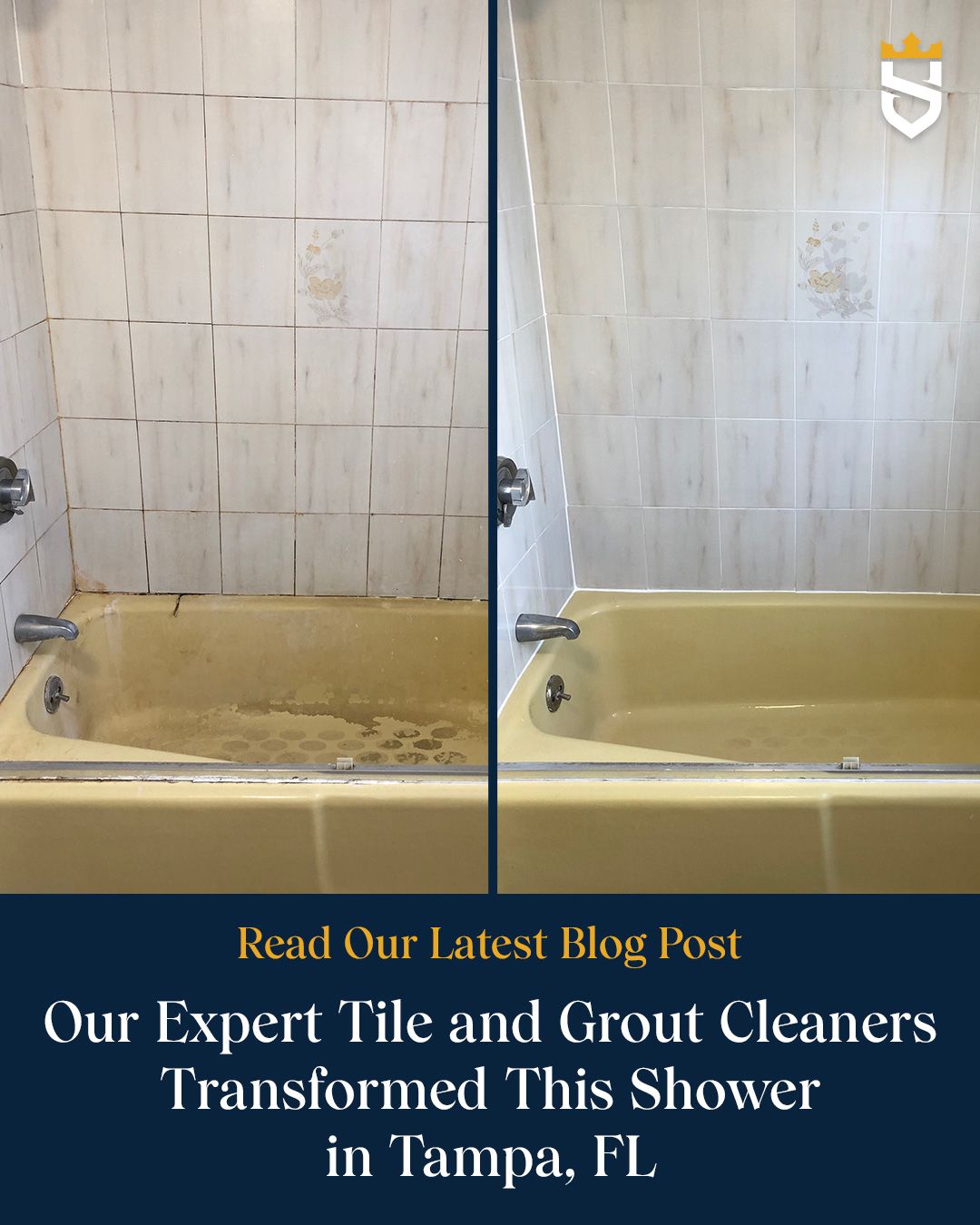 Our Expert Tile and Grout Cleaners Transformed This Shower in Tampa, FL