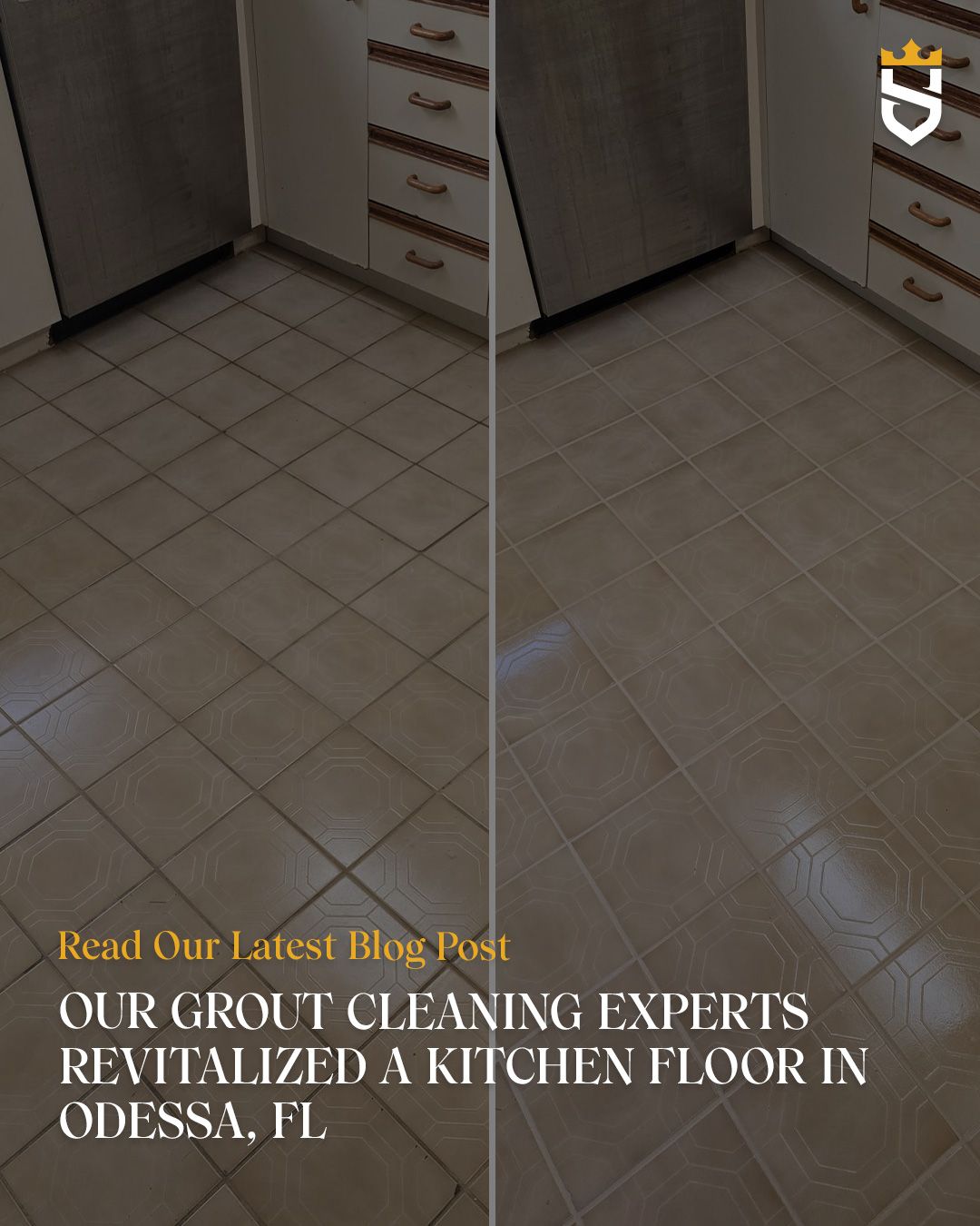 Our Grout Cleaning Experts Revitalized a Kitchen Floor in Odessa, FL